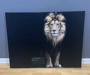 Canvass Painting