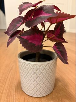 IKEA - FEJKA potted plant & CHIAFRÖN plant pot, white, 3 ½ "