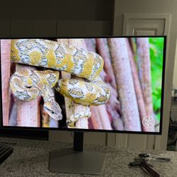 Samsung G8 OLED 