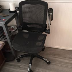 Ergonomic Chair