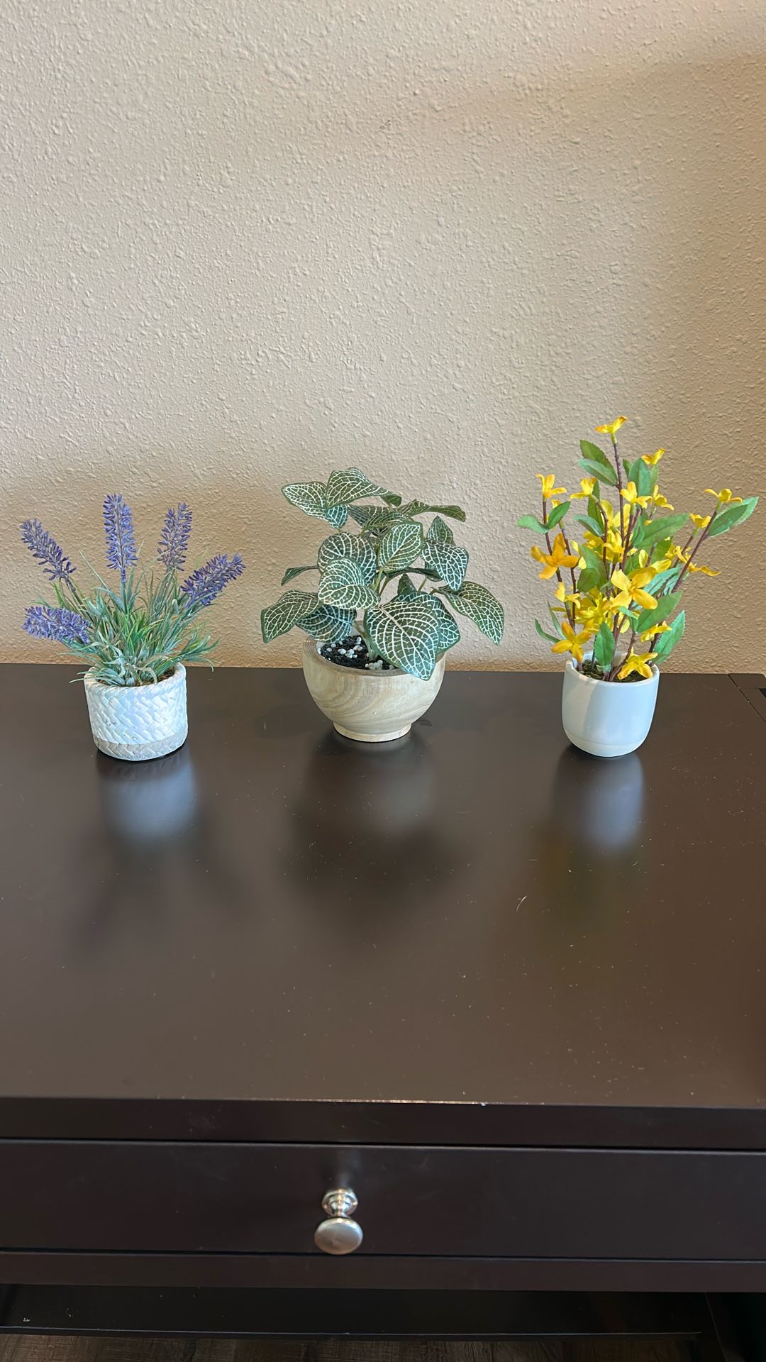 Fake Plants