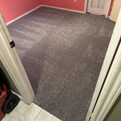Carpet For Sale 