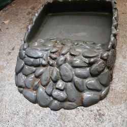 Reptile Bowl