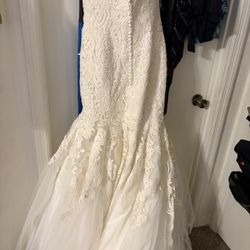 Demetrius Strapless Mermaid Style Lace Wedding Dress