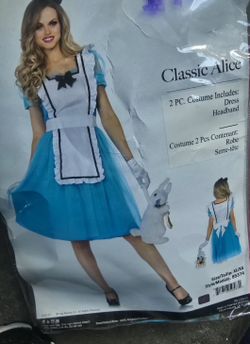 Alice Costume
