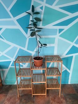 SONGMICS Bamboo Customizable Plant Stand Shelf Flower Pots