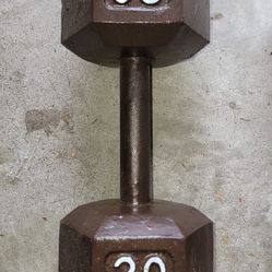 30 Lbs Dumbbell