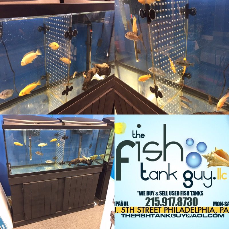 55 gallon fish tank acrylic tank dividers $30