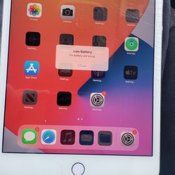 iPad Mini 4 16gb Everything Works Good
