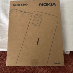 Nokia C300