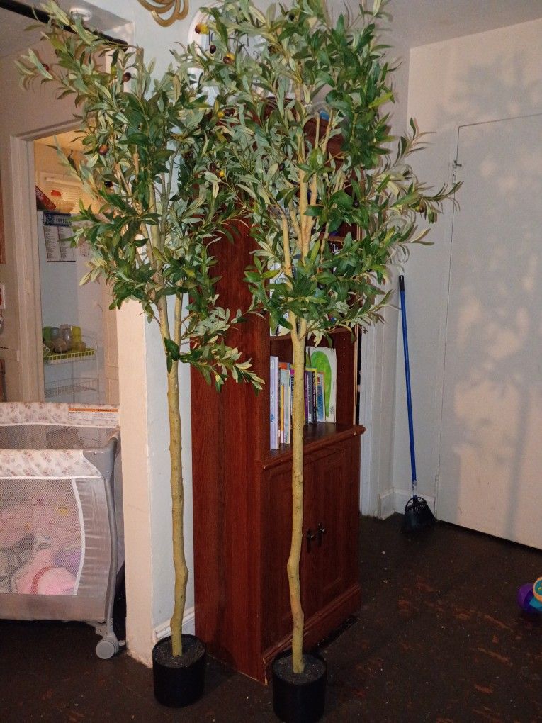 Accent Trees 