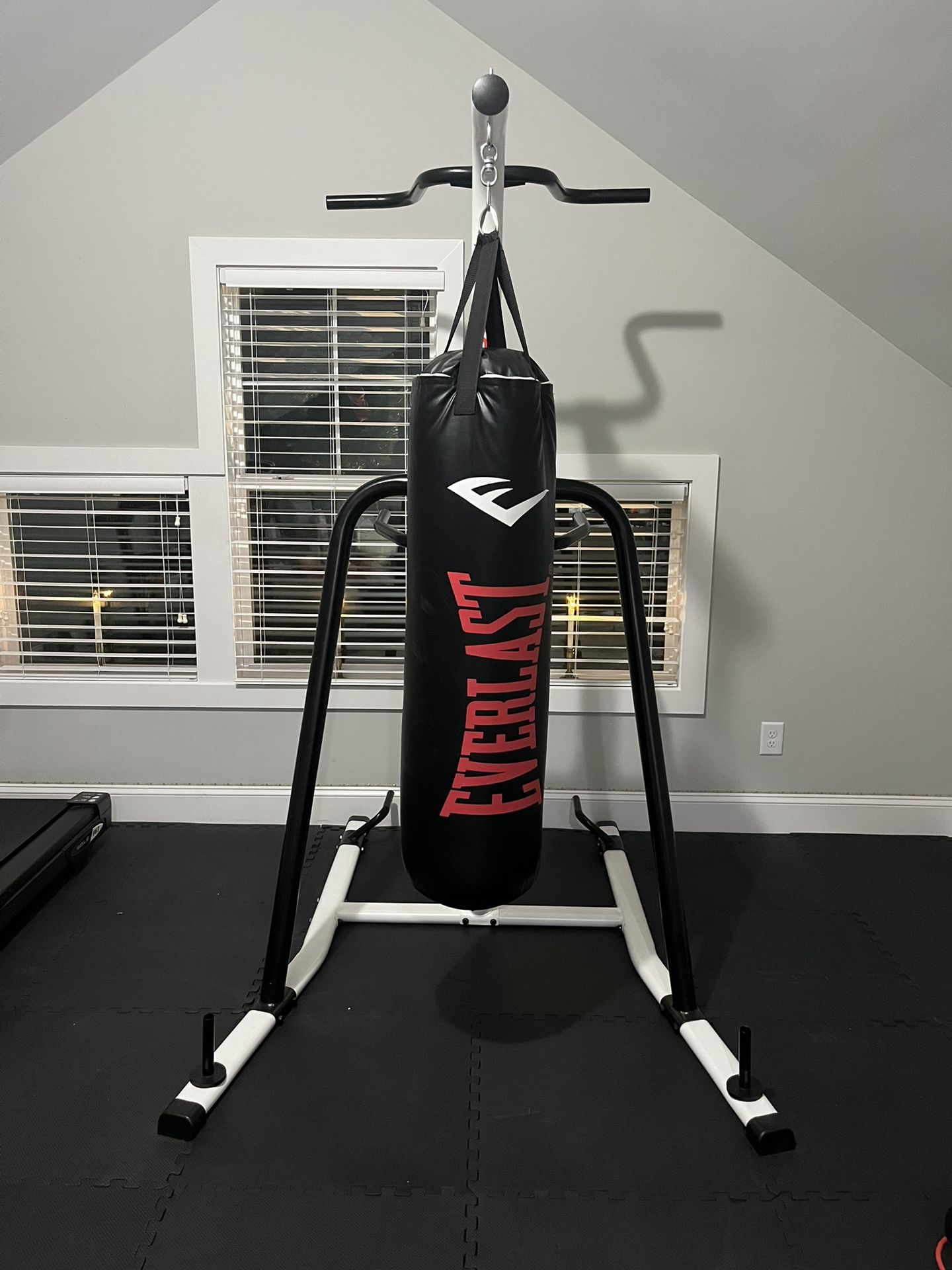 Century Stand With Everlast Punching Bag