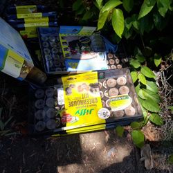 Jiffy Green House Kit 16/36/ 27 Peat Pellets