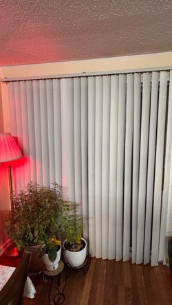 White Vertical Window Blinds
