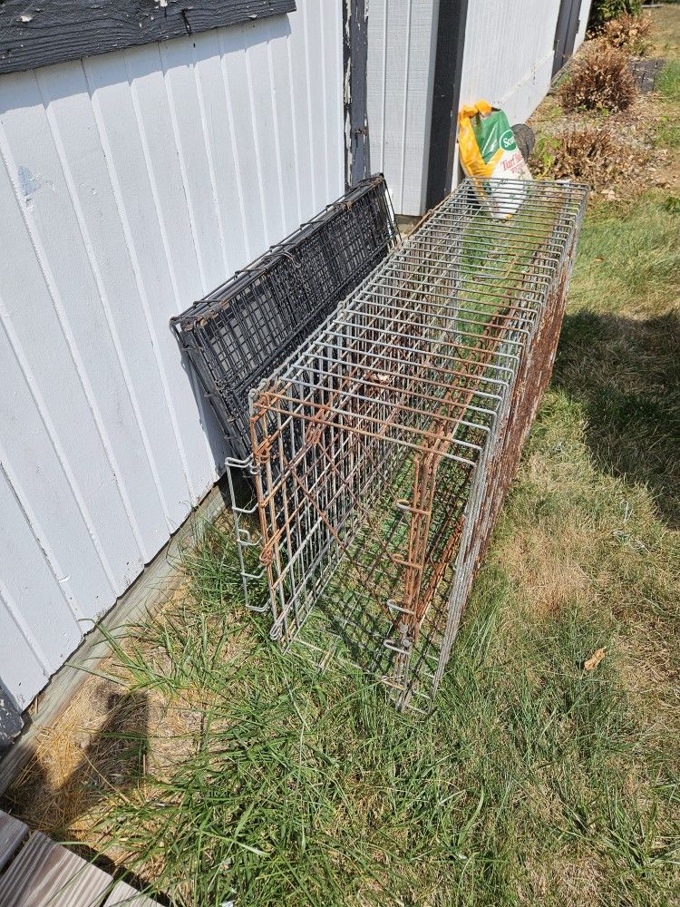 Large Dog Cages... See Description 50.00 Each