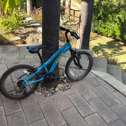 Kids 20” Fuji 6 Speed Mountain Bike 