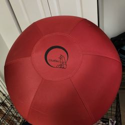 Collie ball for dogs