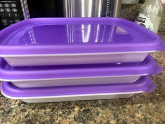 Purple Plastic Containers Set of 3