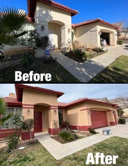 Painting Services