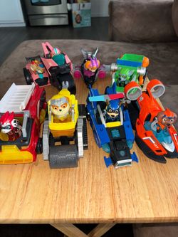 Mighty pups paw patrol
