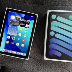 IPad Mini 6  256GB WiFi + Cellular 