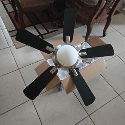 Fan With White Light 