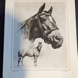 Horse Etching/Print
