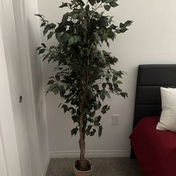 Ficus Weeping Fig Fake Tree 5.5’ With Planter Pot 5 Foot