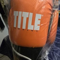 SUPER COOL TITLE BOXING GLOVES  SIZE L