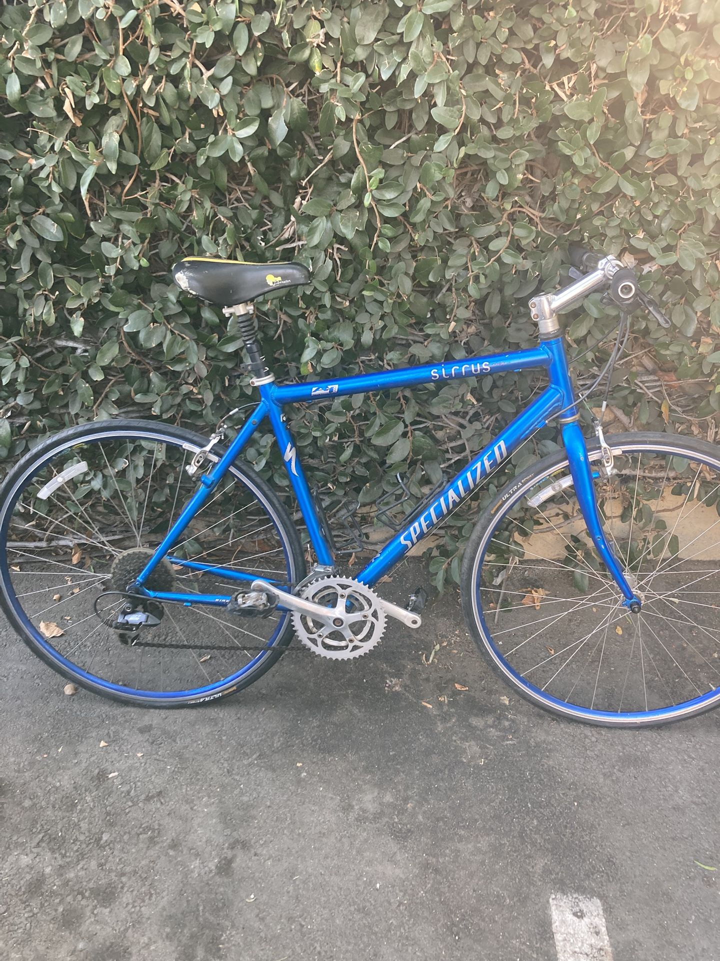 Specialized Road Bike