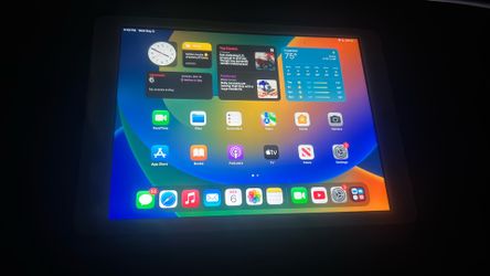 iPad