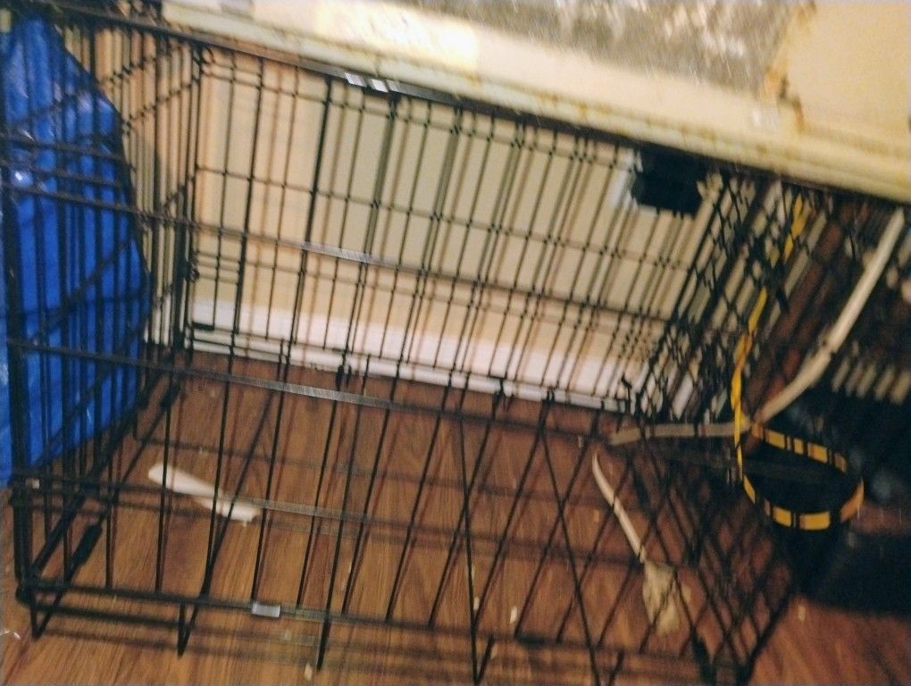 Dog Kennel