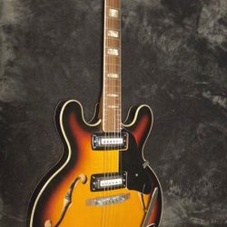 Sterling Semi Hollow Guitar