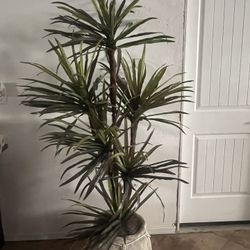 Large Plant Artifice. Perfect Conditions 
