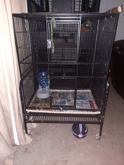 Big bird cage