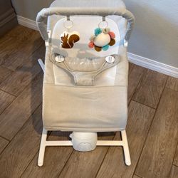 Baby Delight Bouncer Seat 