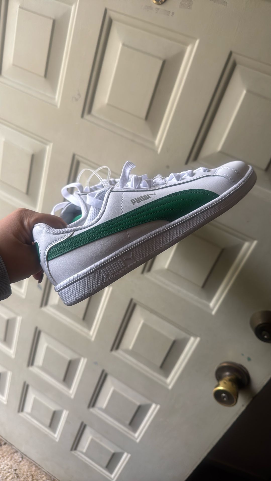 Pumas