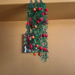 Red chili pepper Hanging plant