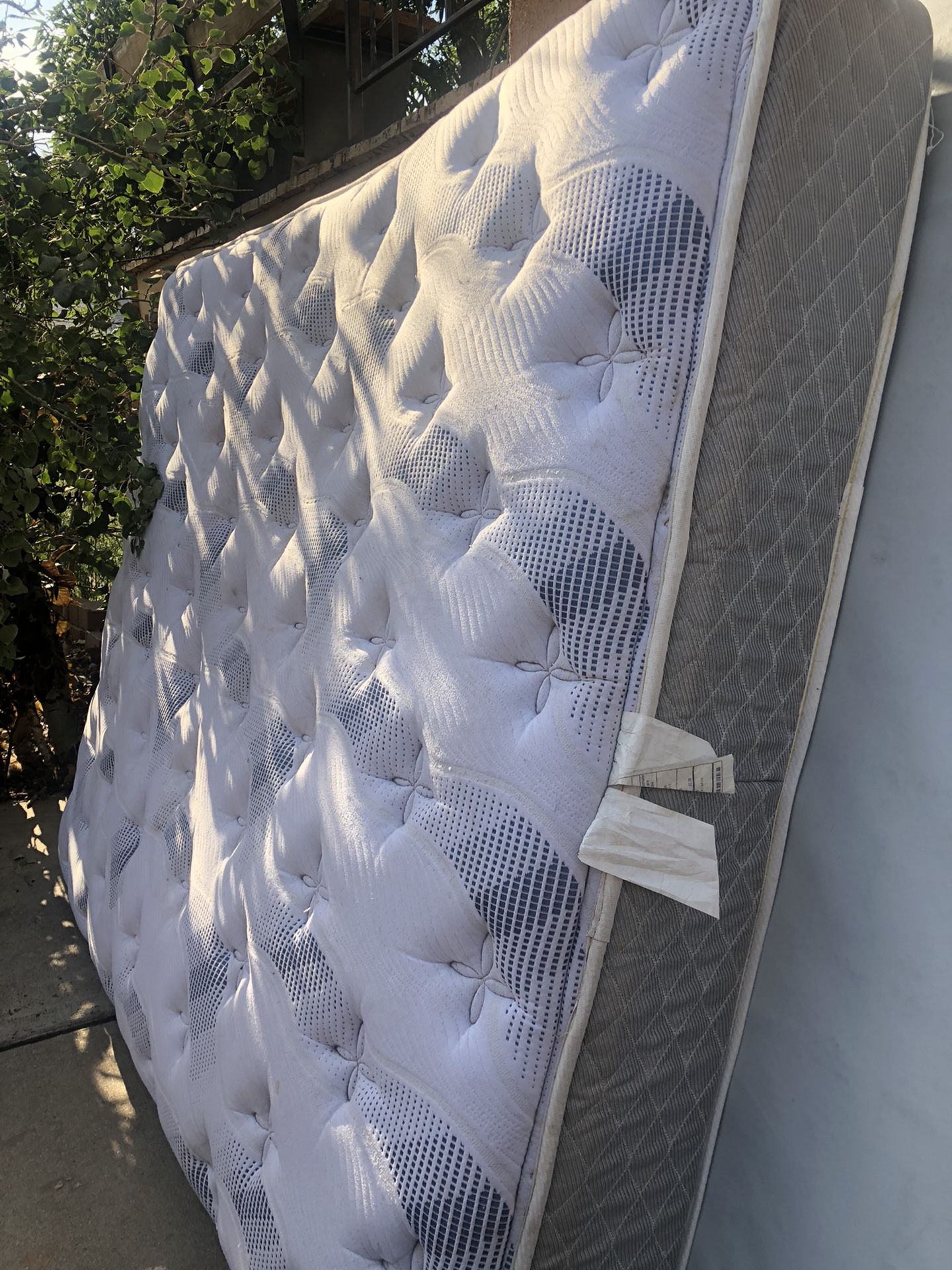 Free mattress with box spring