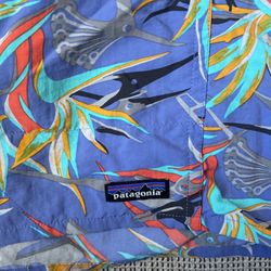 patagonia shorts 