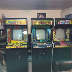 Kangaroo, Centipede,& Dig Dug