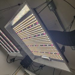LED Grow Light