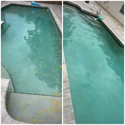 Pool Services 