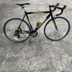 Denali  Pro Road Series B