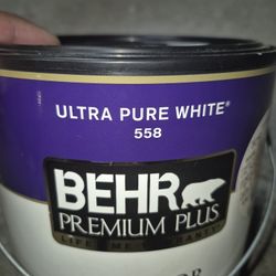 White  Paint