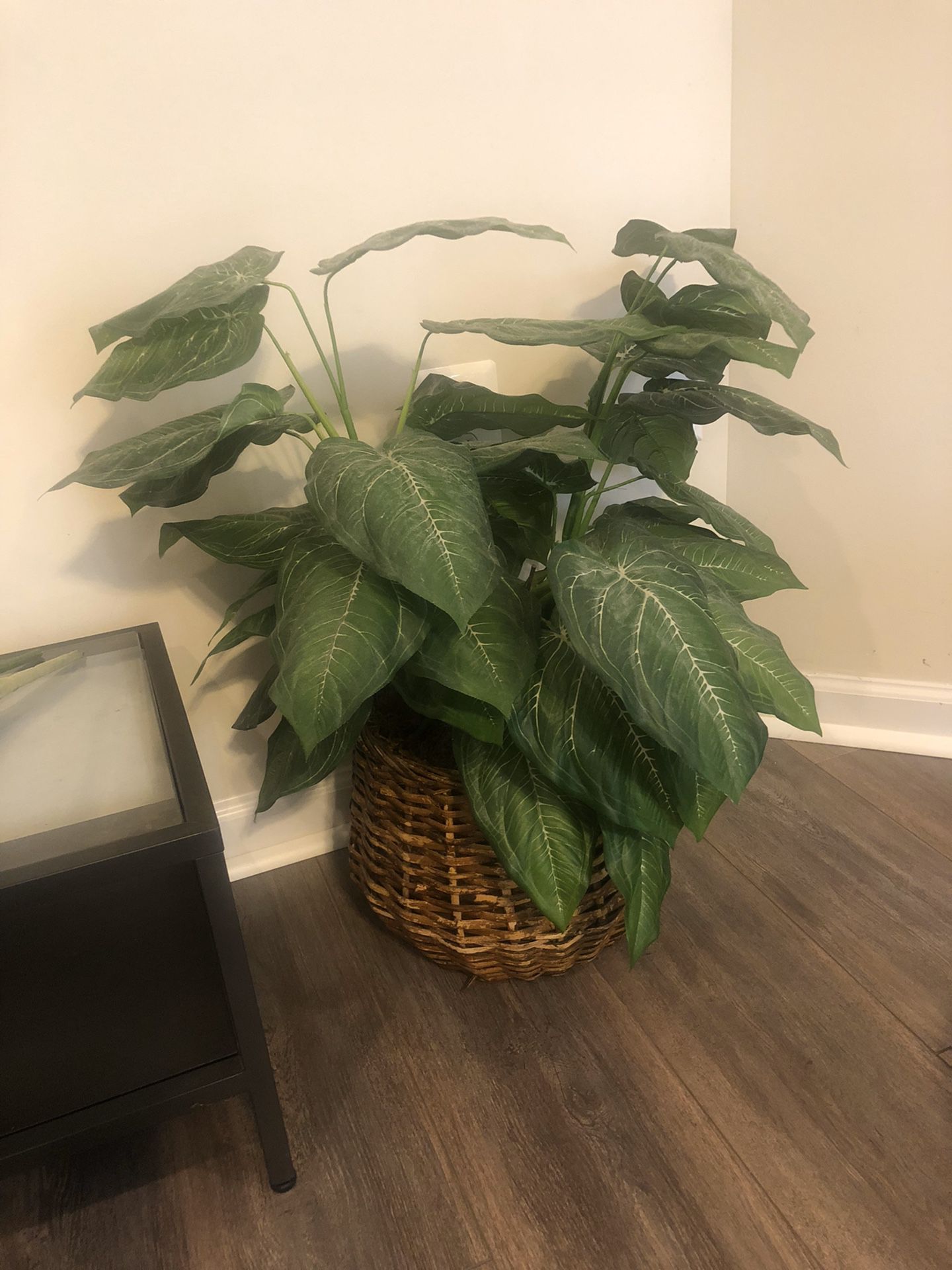 Artificial House Plant with Basket