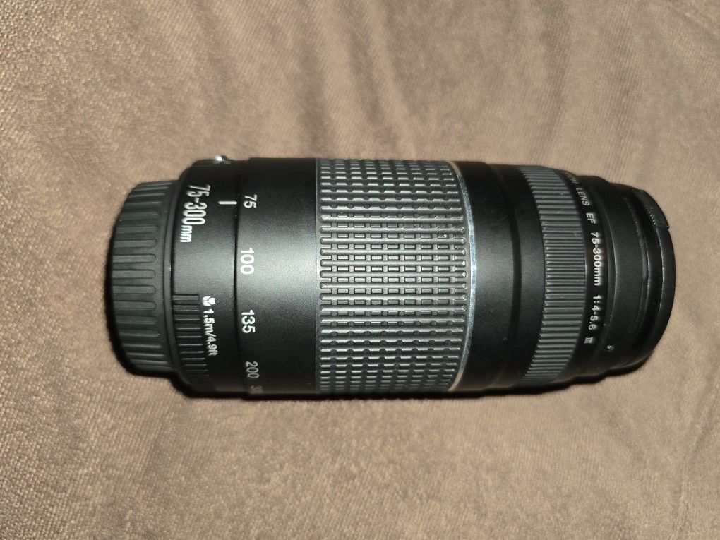 Canon 75-300mm Lens
