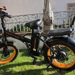 E-Bike