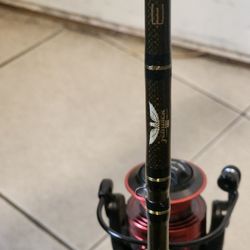 Fenwick Eagle Spinning Pole With Penn Fierce Iv 2500 Reel 6"6ft 2-8lb Moderate Light The Tip Is Change 