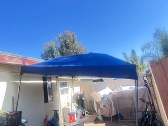 Canopy 10x 10 and hammock $100 for both